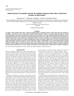 Determinants of incubation period: do reptilian embryos hatch after a