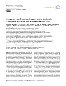 Storage and transformation of organic matter