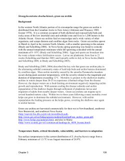 Strongylocentrotus droebachiensis, green sea urchin Background In