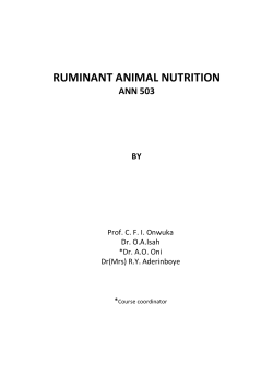 RUMINANT ANIMAL NUTRITION