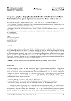 Gammoudi et al - Sparkling Science