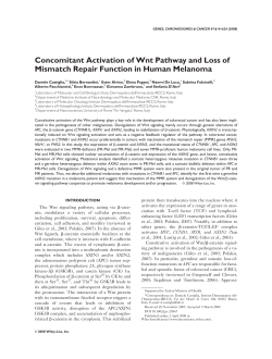 Concomitant activation of Wnt pathway and loss of mismatch repair