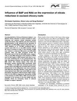 Influence of BAP and NAA on the expression of nitrate reductase in