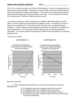 Antibiotic Resistance in Pigs MCA Practice Sheet File