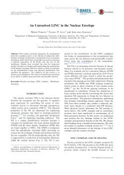 An unresolved LINC in the nuclear envelope