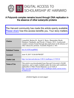 A Polycomb complex remains bound through DNA replication in the
