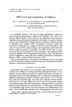 ATP level and respiration of embryos