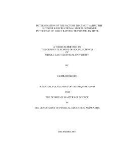 DETERMINATION OF THE FACTORS THAT MOTIVATING THE