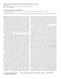 Stone Tools in the Paleolithic and Neolithic Near East: A Guide