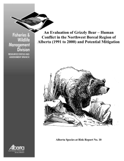 An Evaluation of Grizzly Bear &ndash; Human Conflict