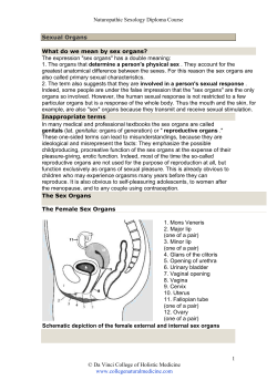 Sexual Organs - Da Vinci College of Holistic Medicine