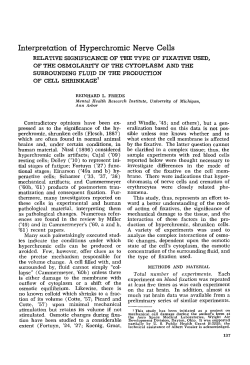 Interpretation of Hyperchromic Nerve Cells - Deep Blue