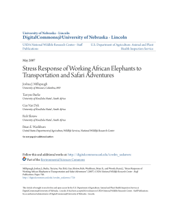 Stress Response of Working African Elephants to Transportation