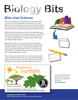 Biology Bits - Photosynthesis - Ask a Biologist