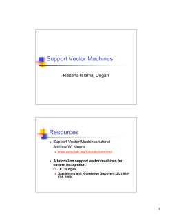 Support Vector Machines