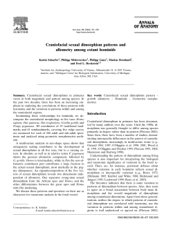 Craniofacial sexual dimorphism patterns and allometry among