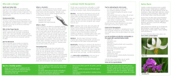 Growing Green Brochure - Capital Regional District