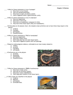 Chapter 33 Review - Blue Valley Schools