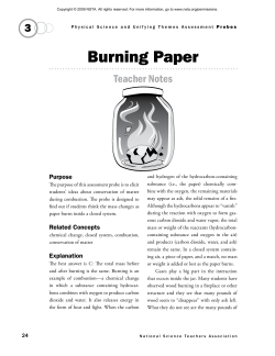 Burning Paper - RPS Cloud Server
