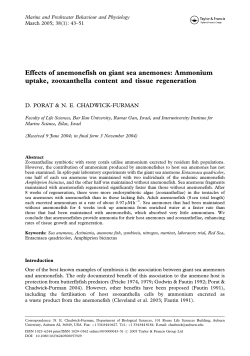Effects of anemonefish on giant sea anemones