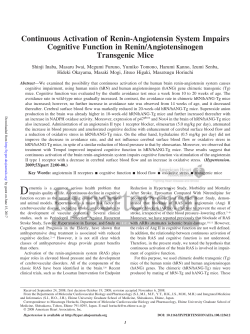 Continuous Activation of Renin-Angiotensin System