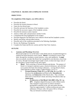 1 CHAPTER 10 &ndash; BLOOD AND LYMPHATIC SYSTEM OBJECTIVES