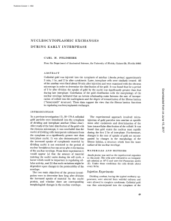 nucleocytoplasmic exchanges during early interphase