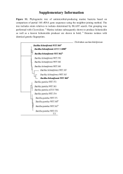 PDF-Document