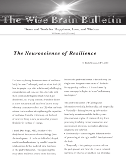 The Wise Brain Bulletin