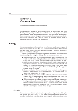 Cockroaches - World Health Organization