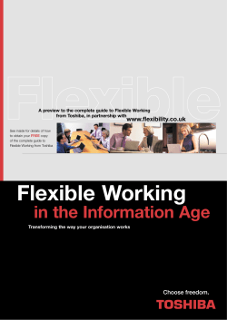 12 page preview - Flexibility.co.uk