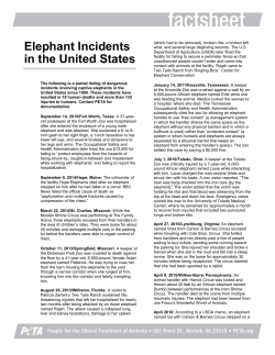 Elephant Incidents in the United States