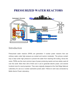 PRESSURIZED WATER REACTORS