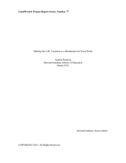 Making the Call: Vocation as a Mechanism for