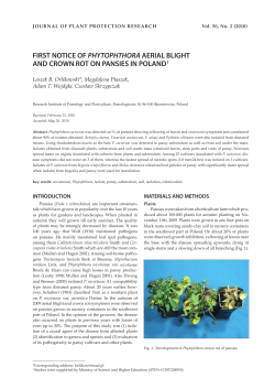 Journal 50(2) - 21 - Orlikowski.indd