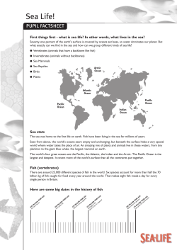 Pupil worksheet. Pupil factsheet