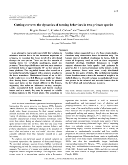 the dynamics of turning behaviors in two primate species