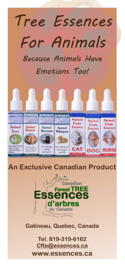 the animal brochure here - Canadian Forest Tree Essences