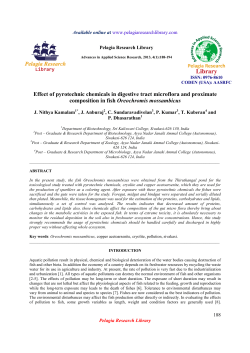 Effect of pyrotechnic chemicals in digestive tract