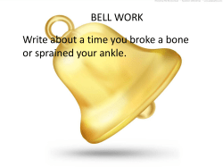 skeletal system lesson 1 pdf