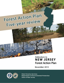 New Jersey Forest Action Plan 2015
