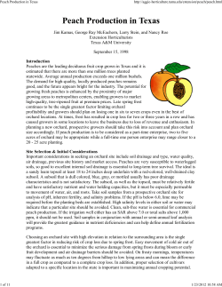 Peach Production in Texas - AgriLife Extension County Offices
