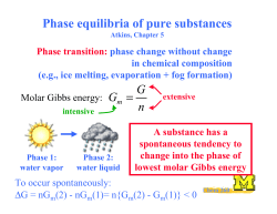 Phase equilibria of pure substances