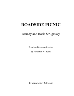 roadside picnic - H-Net