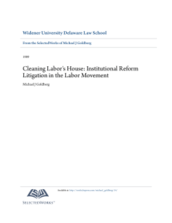 Cleaning Labor`s House: Institutional Reform Litigation in the Labor