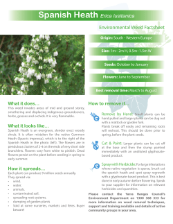 Spanish Heath Fact Sheet