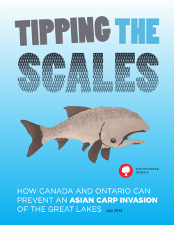 HOW CANADA AND ONTARIO CAN PREVENT AN ASIAN CARP