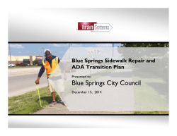 Blue Springs City Council