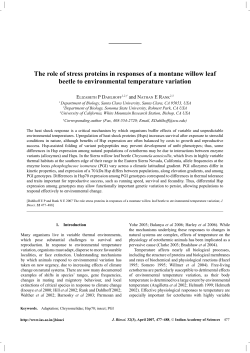The role of stress proteins in responses of a montane willow leaf
