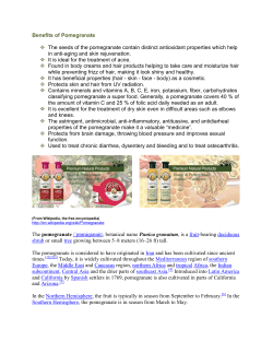 Pomegranate Benefits